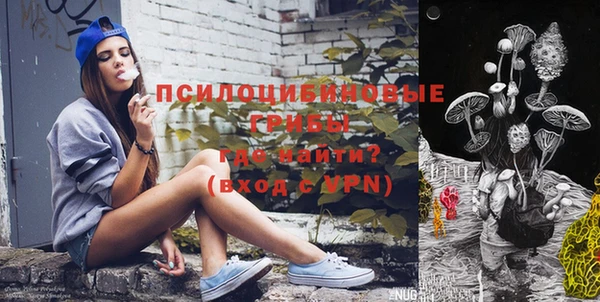 ПСИЛОЦИБИНОВЫЕ ГРИБЫ Абдулино