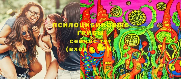 ПСИЛОЦИБИНОВЫЕ ГРИБЫ Абдулино