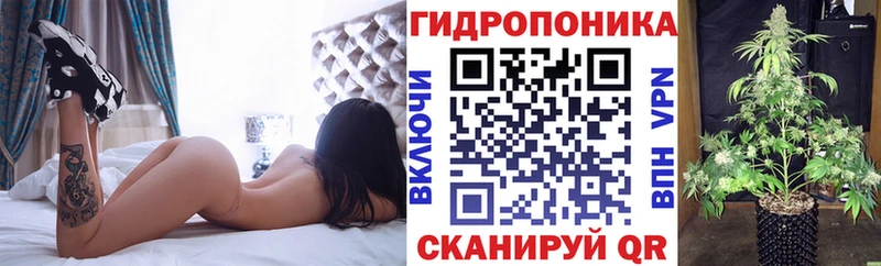 Канабис SATIVA & INDICA MEGA Сольцы купить